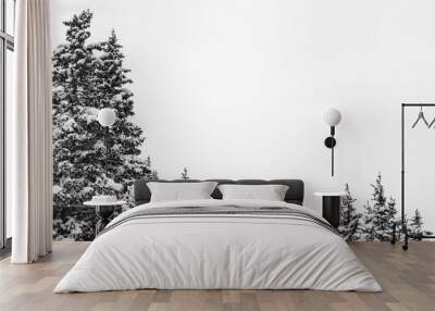 Pine forest tree tops black and white Wall mural