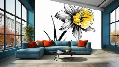 Amazing and attractive image of daffodil AI-Generated Wall mural