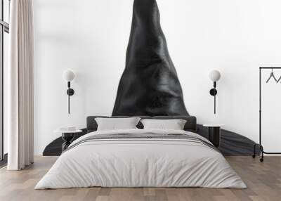 Isolated Black Witch Hat without Background, Traditional Design. Wall mural