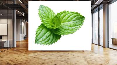 Mint Leaves Wall mural