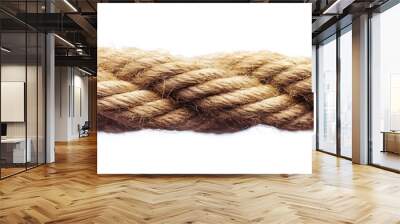 A close-up image of a thick rope with a white background. Wall mural