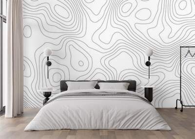 White topography topology vector white background fresh contour map texture backdrop digital print texture terrain lines and strokes on a fresh white  Wall mural