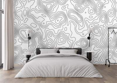 White topology topography vector art abstract background digital shapes contour map texture Wall mural