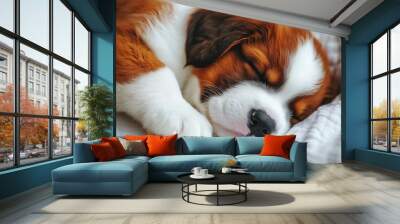 Mystic portrait of baby Saint Bernard in studio, copy space on right side, Headshot, Close-up View, isolated on white background Wall mural