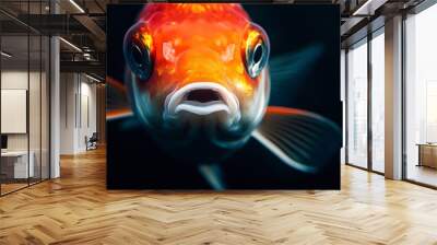 Mystic portrait of Fancy Goldfish, isolated on black background Wall mural