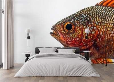 Mystic portrait of Snakeskin Gourami in studio, copy space on right side, Anger, Menacing, Headshot, Close-up View, isolated on white background Wall mural