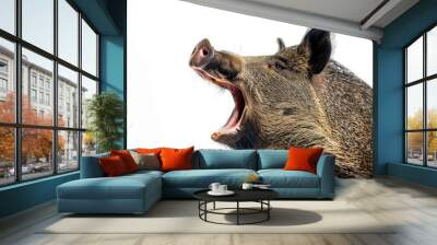 Mystic portrait of Southeast Asian Wild Boar studio, copy space on right side Isolated on white background Wall mural