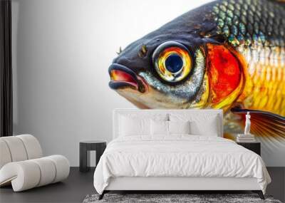 Mystic portrait of Tinfoil Barb fish in studio, copy space on right side, Anger, Menacing, Headshot, Close-up View, isolated on white background Wall mural