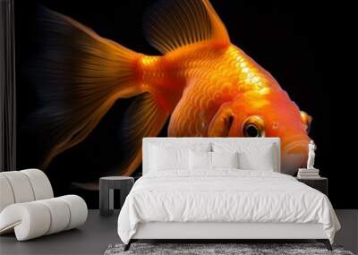 Portrait gold fish isolated on black AI Generative Wall mural