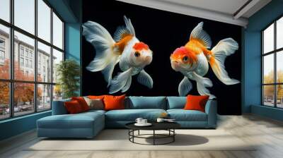 the beside view Oranda Goldfish, Isolated on dark Background Wall mural