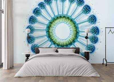 the Diatom Phytoplankton, portrait view, white copy space on right, Isolated on white Background Wall mural