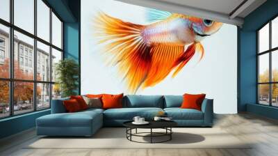 the Guppy Fish, Isolated on white Background Wall mural