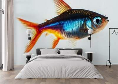 the Neon Tetra Fish, Isolated on white Background Wall mural