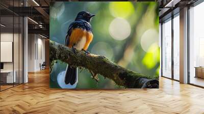 White-rumped Shama on the forest AI Generative Wall mural