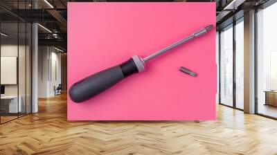 Black screwdriver with replaceable tip Wall mural