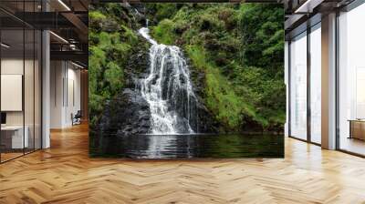 Full frame close-up of the famous Assaranca waterfall near Maghera, County Donegal, Ireland Wall mural