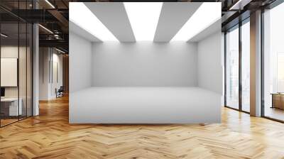 Empty room with white walls, floor and ceiling and with opening in ceiling for lighting, 3d illustration Wall mural