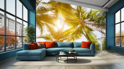 Coconut tree and sunshine. Wall mural