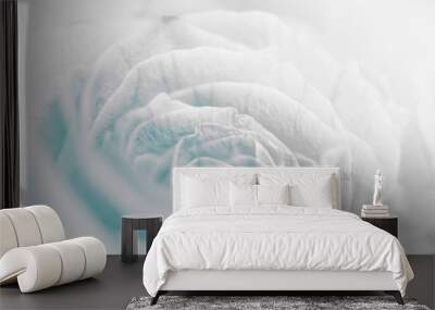 sweet pastel color roses flower in soft and blur style for backg Wall mural