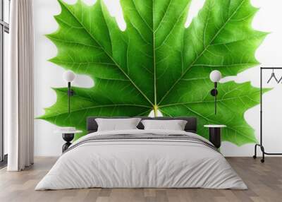 A vibrant green maple leaf showcasing detailed veins and a natural glossy surface for your creative projects. Wall mural