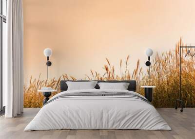 Brown flower grasses in the field are blooming with sky in the background. Wall mural