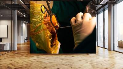 Neurosurgeon performing stereotactic brain biopsy in operating room. Wall mural