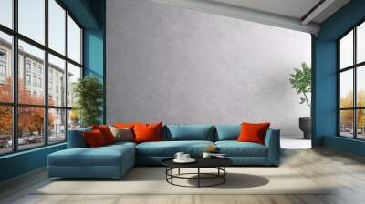 Modern loft interior design mock up room and empty living room and concrete wall texture background Wall mural