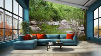 rocky pond and green natural Wall mural