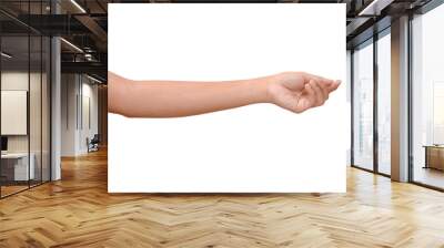 Hand Figures isolated on white background. Wall mural