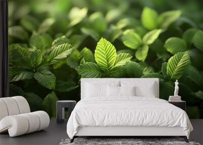 Lush Green Foliage Nature Background with Dense Vegetation Wall mural