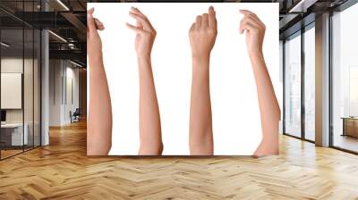 Set of woman hands isolated on white background. Wall mural