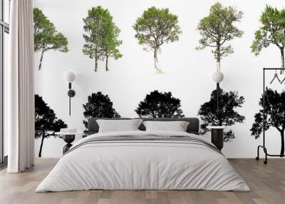 Collection of tree isolated on white background Wall mural