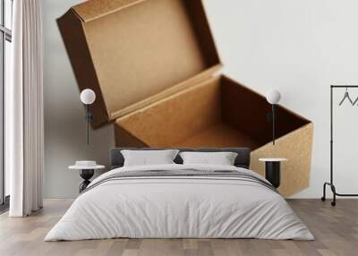 Open brown cardboard box on a white background. Wall mural