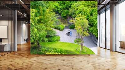 A young nurse pushes a patient's wheelchair out into the hospital's wide garden for fresh air Wall mural