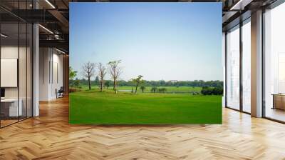 Golf sport played on the outdoor courts of the social elite. Wall mural