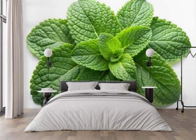 Fresh mint leaves set, isolated on white background Wall mural