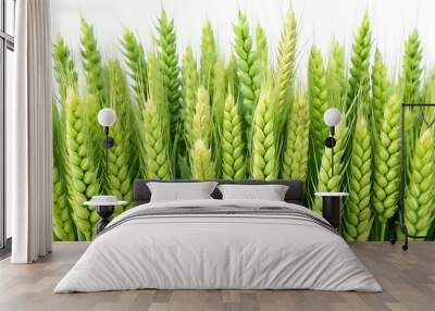 Green young ears of wheat isolated on white background Wall mural