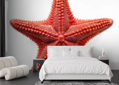 Red sea star, isolated on white background Wall mural