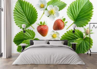 Set of leaves and flowers of strawberry isolated on a white background. Wall mural