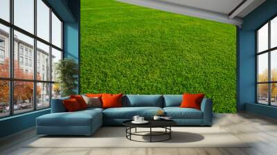 A lush green lawn or meadows in the park. Close up with perspective view. Wall mural