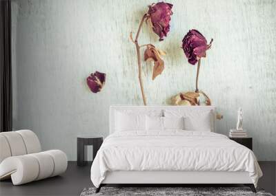 Two dried and wilted red rose flowers against grunge white background. Wall mural