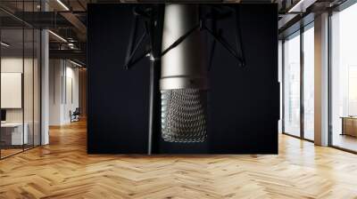 Close-up shot of a professional fixed microphone used for studio recordings in the dark background. Wall mural