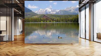 a duck swimming in a lake in the slovak mountains Wall mural