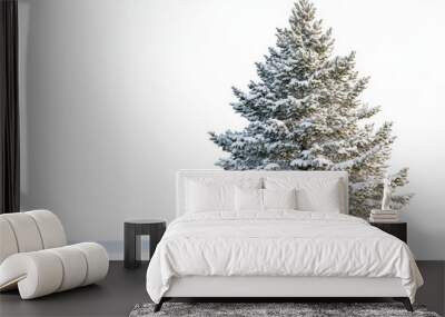 A beautiful snow-covered tree standing alone, creating a serene winter scene against a bright white background. Wall mural