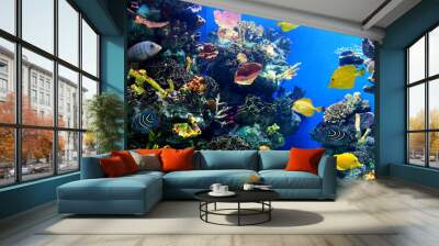 Colorful and vibrant aquarium life Wall mural