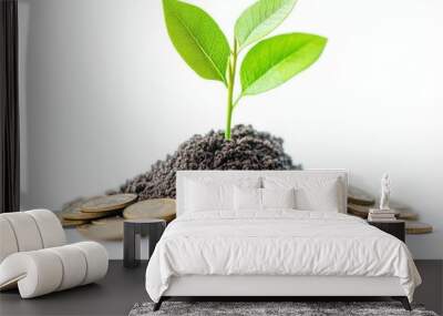 A plant growing from a pile of coins on white background. Business growing concept. Wall mural