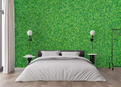 Artificial green grass texture can be use as background Wall mural