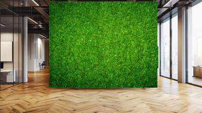 Green grass texture can be use as background Wall mural