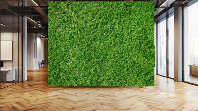 Green grass texture can be use as background Wall mural