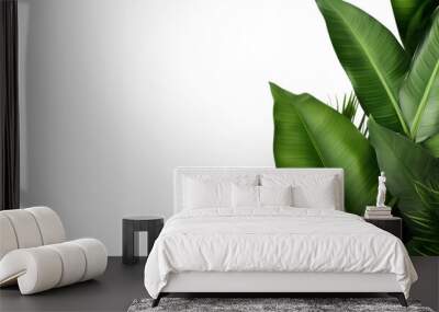 compotition of banana leaves on white background for advertising. Wall mural